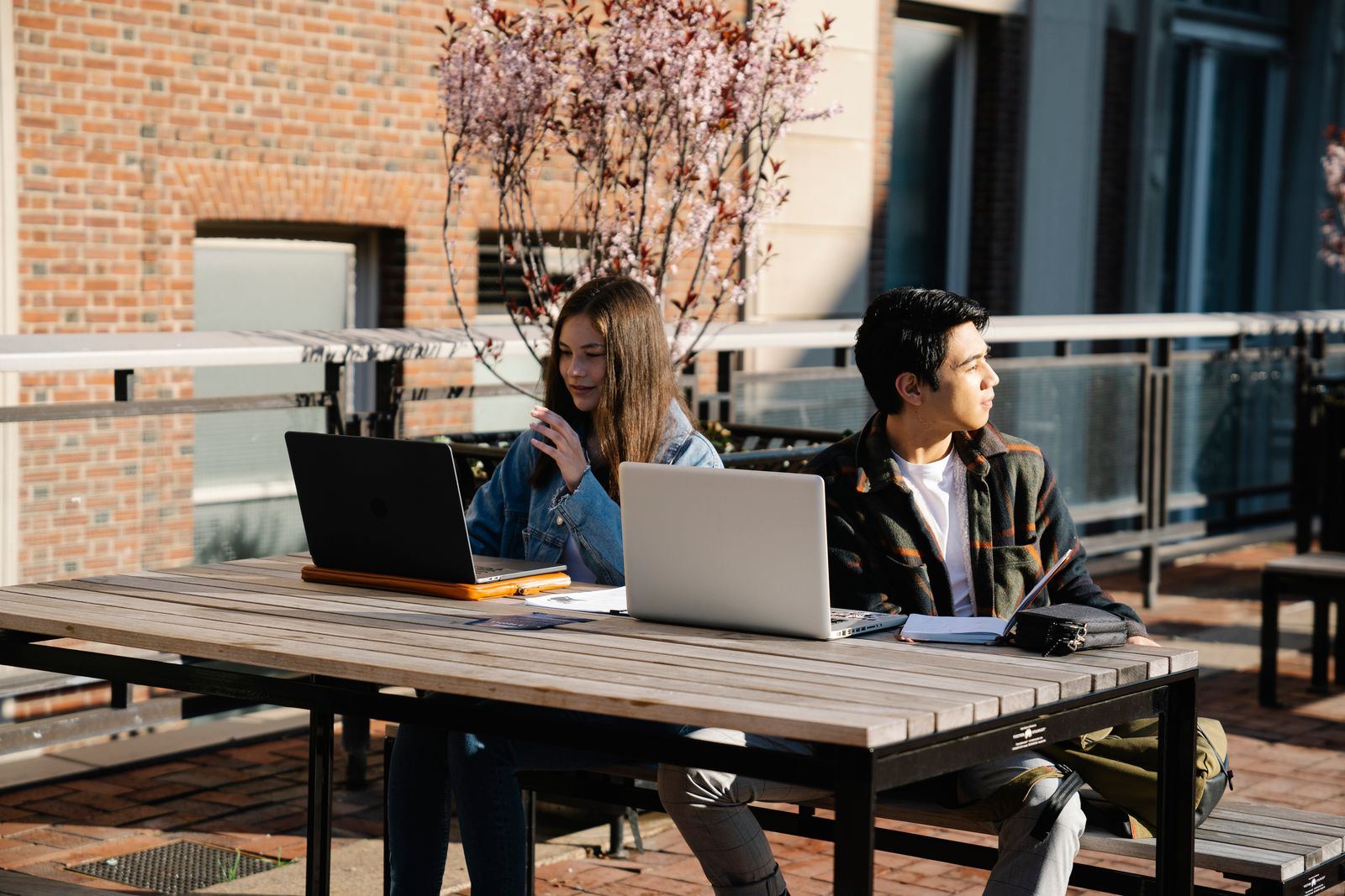 Two students working on laptops outdoors on campus